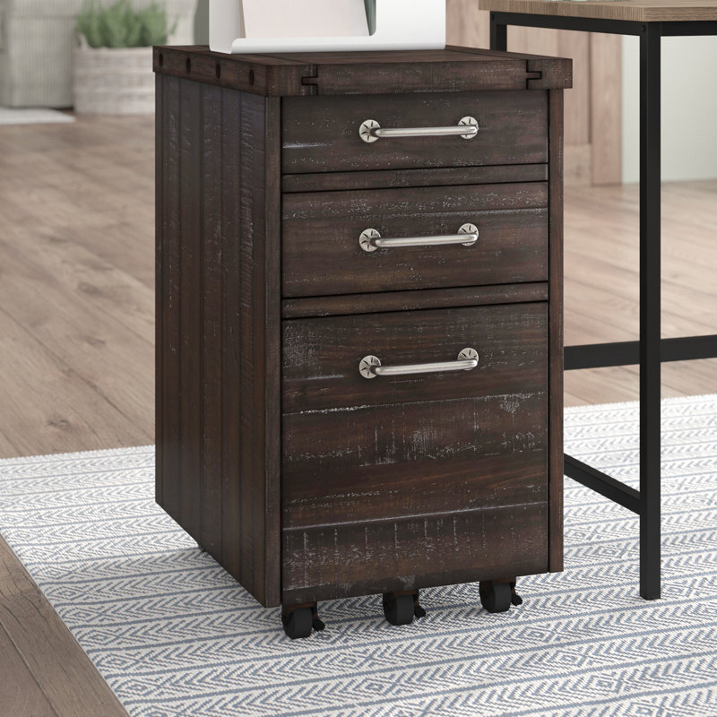 Laurel Foundry Modern Farmhouse Langsa 3Drawer Vertical Filing